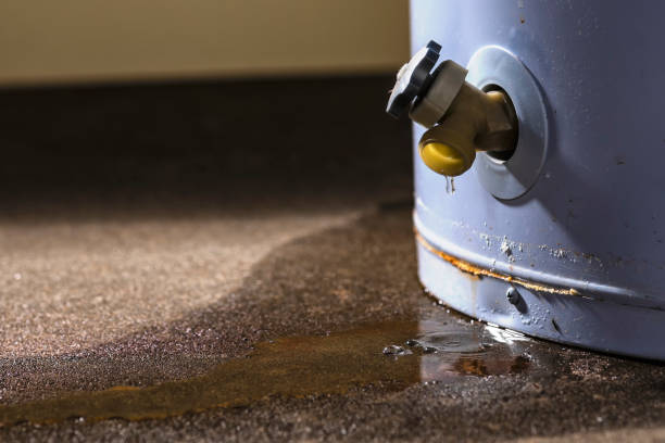 Best Flood damage cleanup  in Chaparral, NM