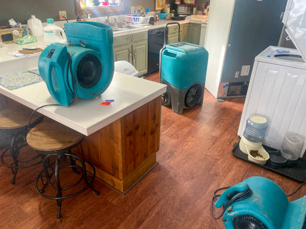 Best Water damage repair service  in Chaparral, NM