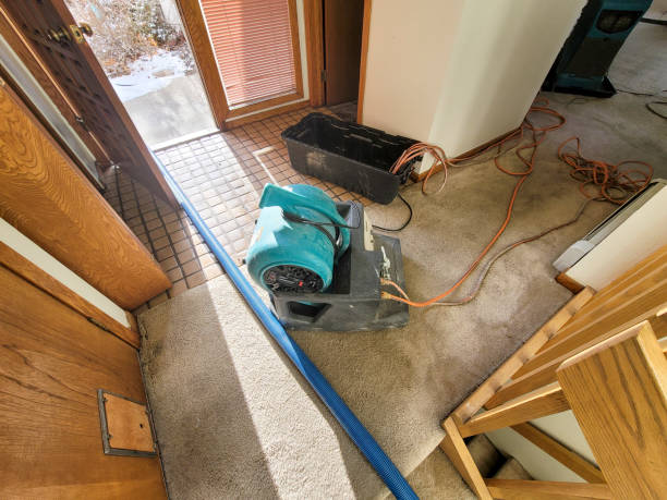 Best Sewage cleanup and water damage restoration  in Chaparral, NM