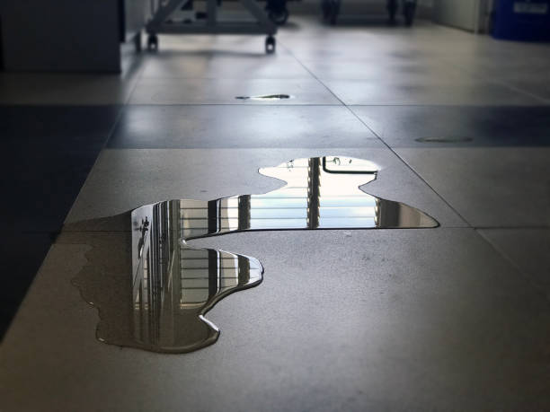 Best Local water damage restoration  in Chaparral, NM