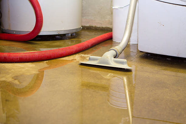 Best Water damage restoration near me  in Chaparral, NM