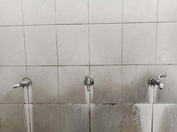 Water damage restoration experts in NM