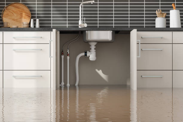 Best Residential water damage restoration  in Chaparral, NM