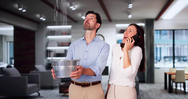 Best Basement water damage restoration  in Chaparral, NM