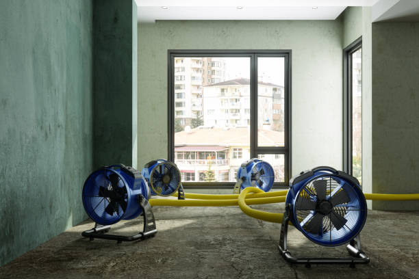 Best Water damage restoration near me  in Chaparral, NM